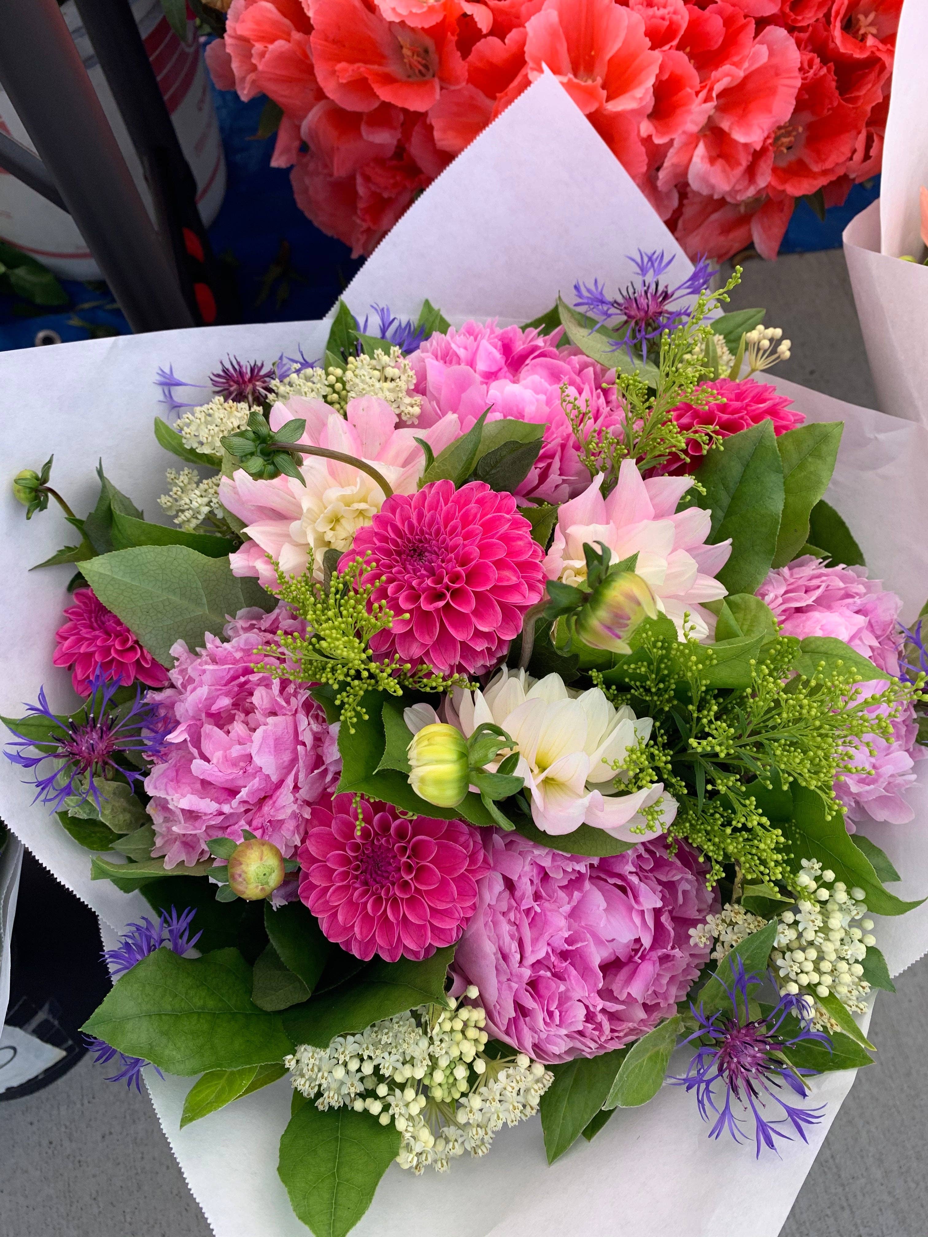 Champion Greens Forest farm - Wholesale Artificial Plant - Salal tip Lemon leaf1