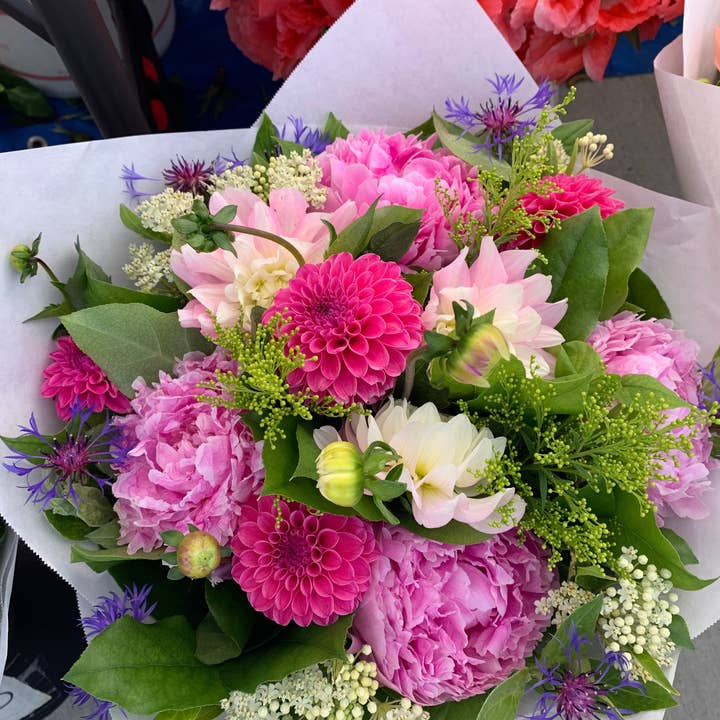 Champion Greens Forest farm - Wholesale Artificial Plant - Salal tip Lemon leaf1