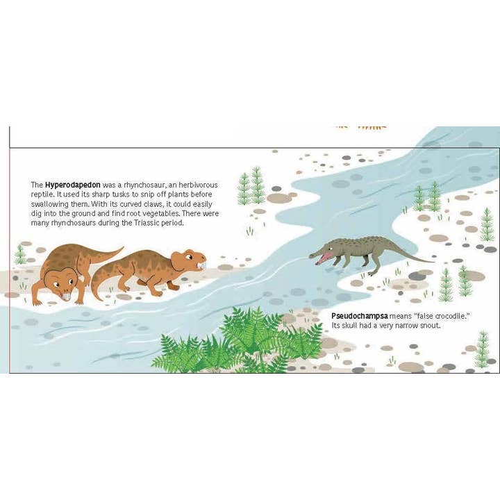 Chronicle Books - Wholesale Science & Math - The Ultimate Book of Dinosaurs & Other Prehistoric Creatures2