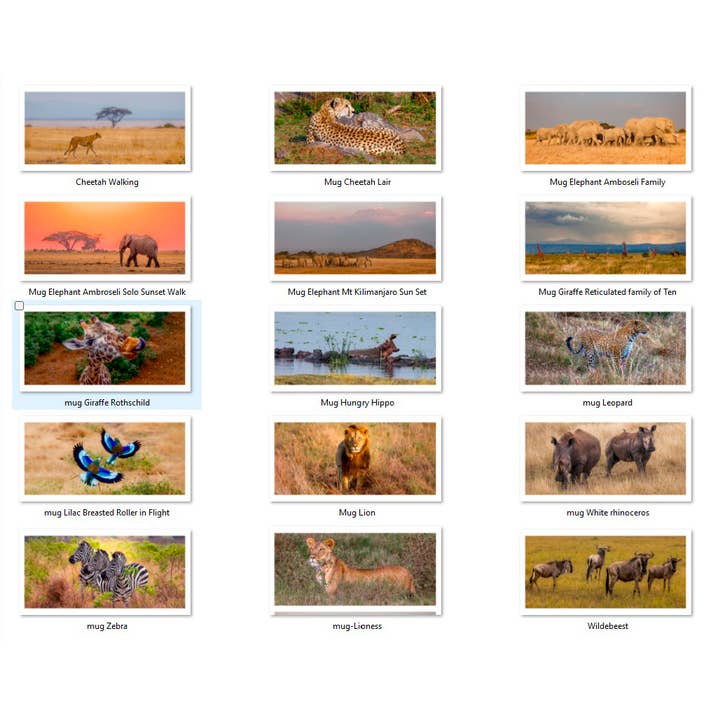 Mug 11oz Ceramic, Africa Zoo Animals Original Photography for wholesale by Scene Happy