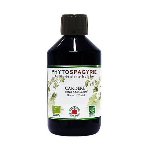 Fitospagiria di Pianta Cardo* 300ml per la vendita all'ingrosso da parte di Vecteur Energy