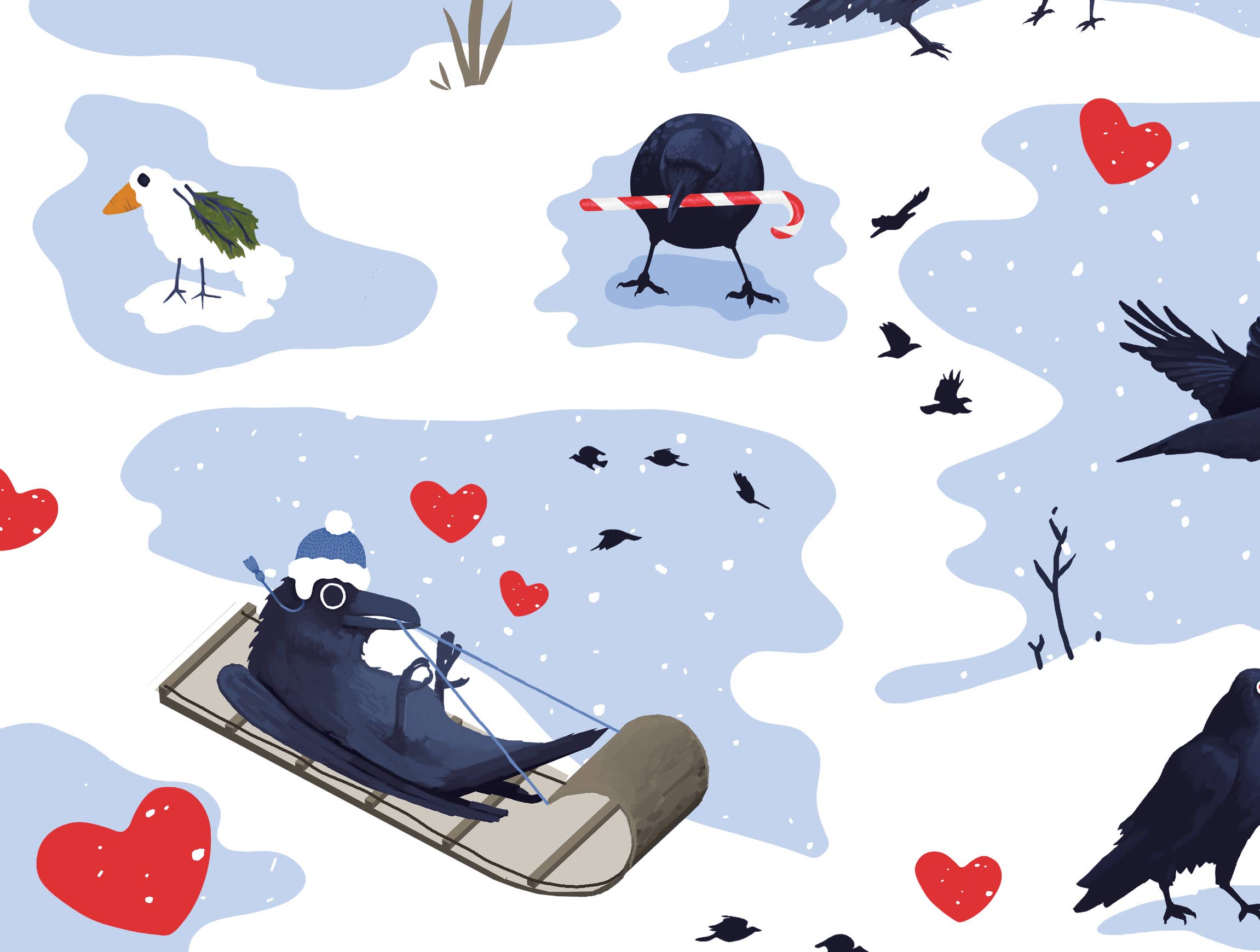 BoyPilot Goods - Wholesale Flat Wrap - Crow Christmas Wrapping Paper - Corvid Flat Pack Gift Wrap5