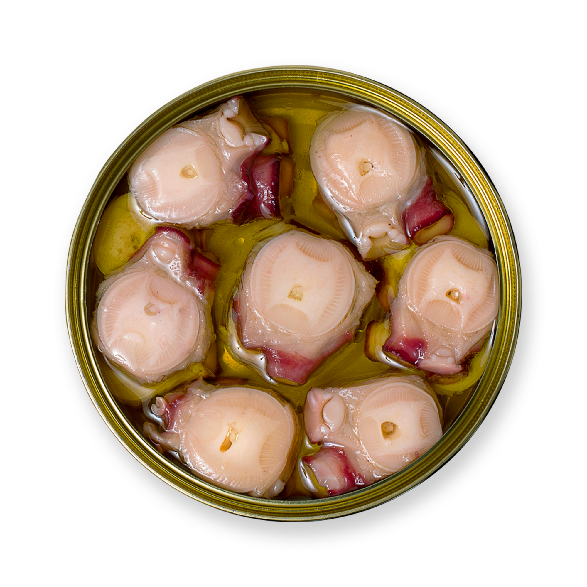 Conservas La Brújula - Wholesale Tinned Fish - Octopus In Olive Oil RO150. LB821