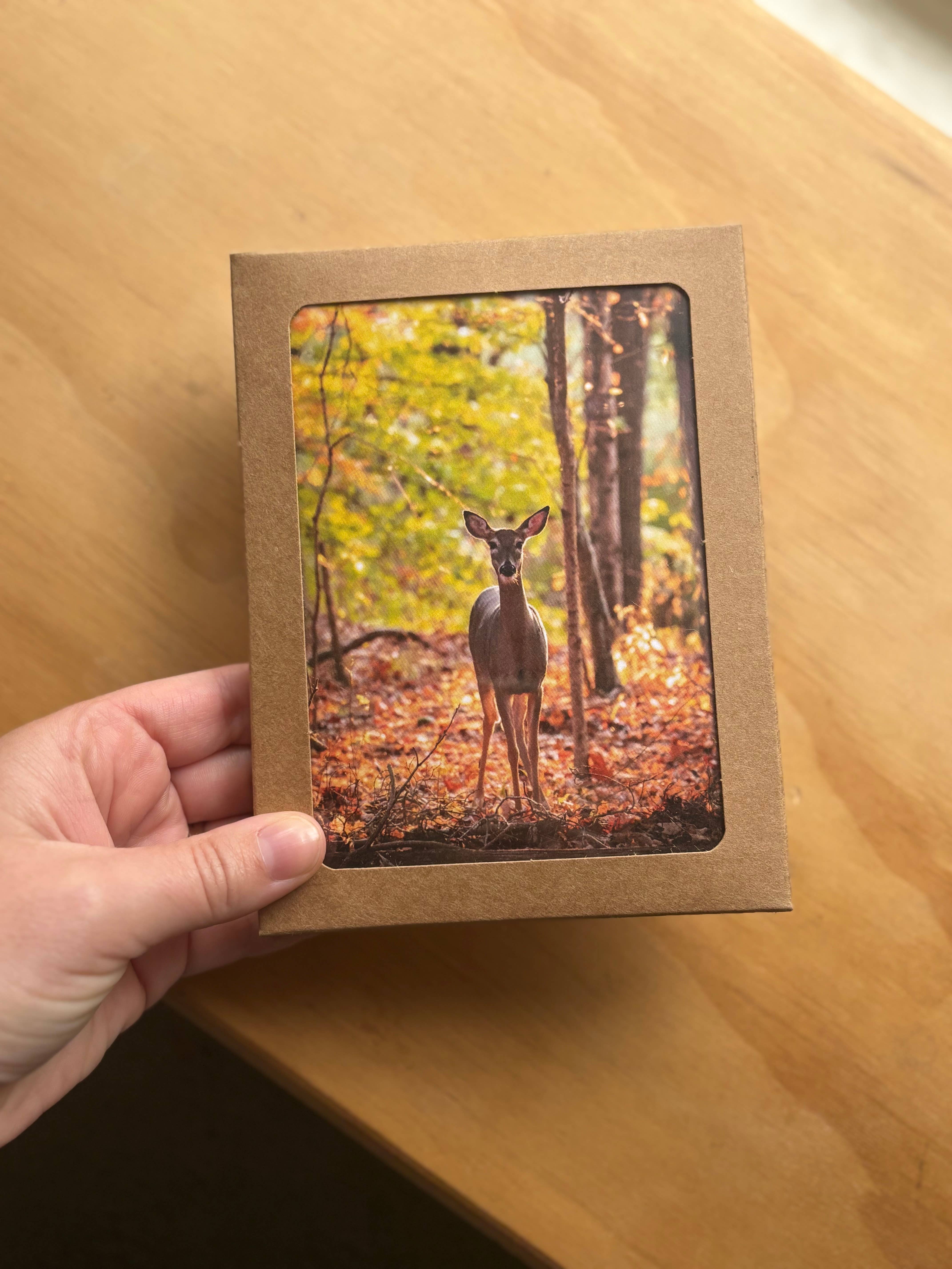 Andrea Morris Art - Wholesale Stationery/Notecard Set - Fall Card Variety Pack (5 Different Cards + Envelopes)1