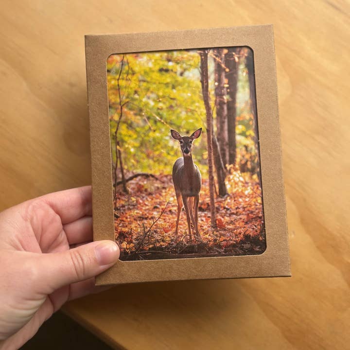 Andrea Morris Art - Wholesale Stationery/Notecard Set - Fall Card Variety Pack (5 Different Cards + Envelopes)1