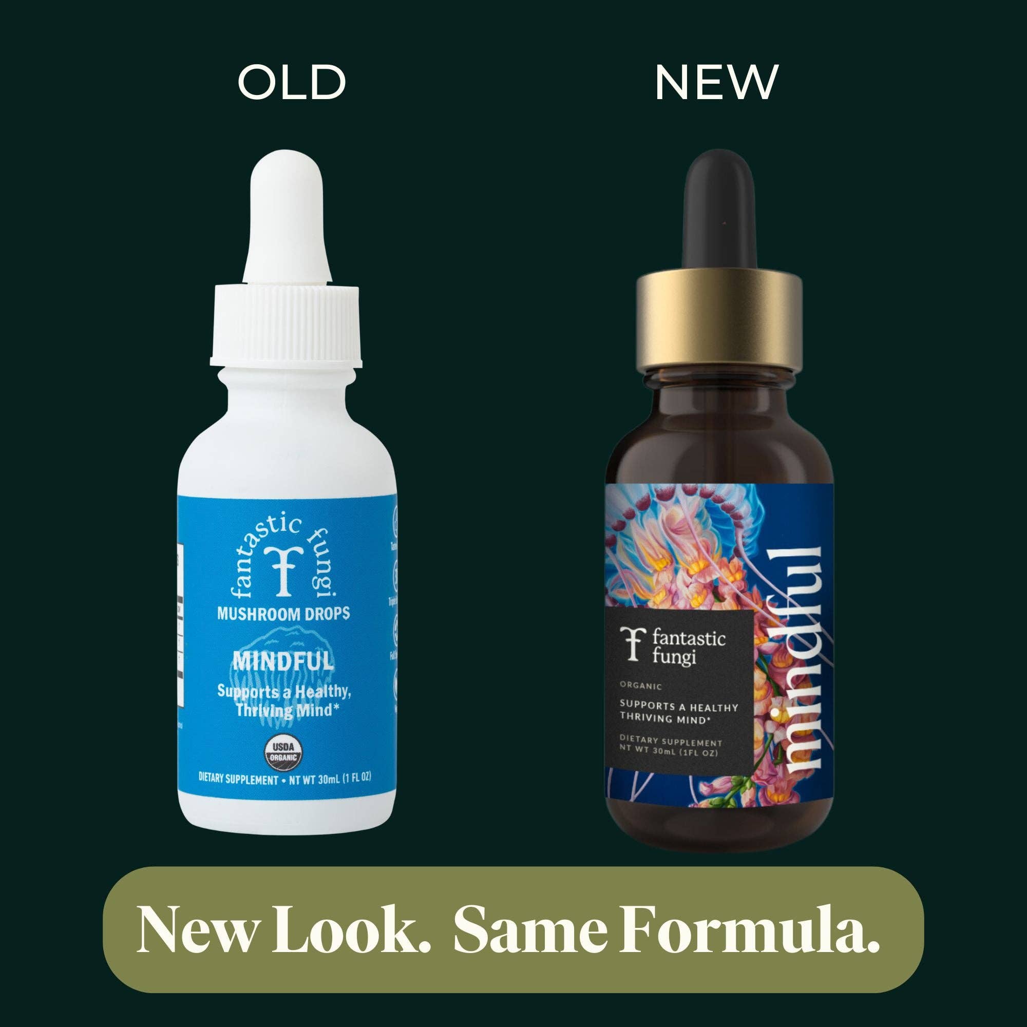 Fantastic Fungi - Wholesale Elixir - Mindful Elixir2