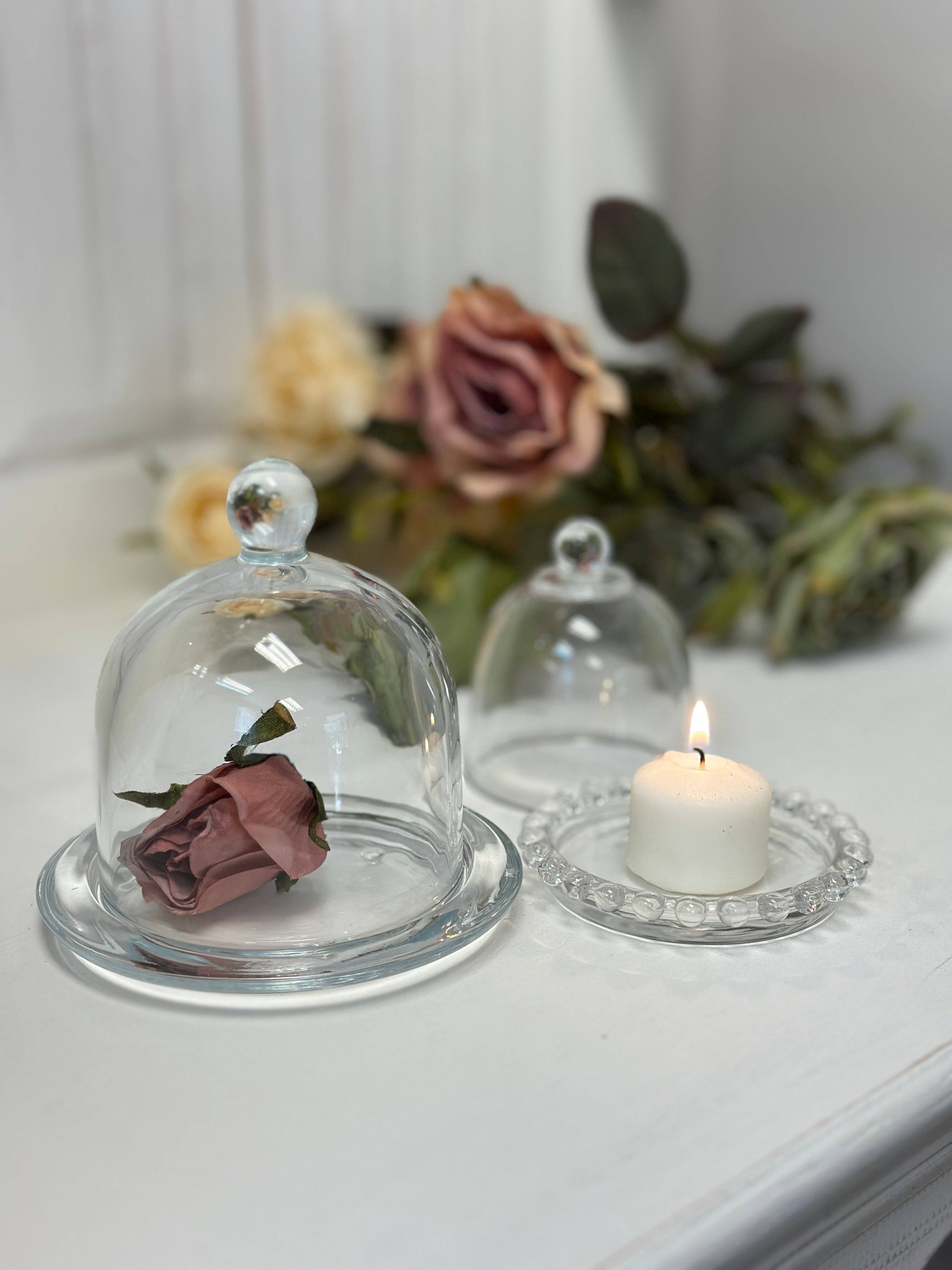 Vagabond Vintage - Wholesale Decorative Tabletop Object - Glass Dome Display Cloche with Base2