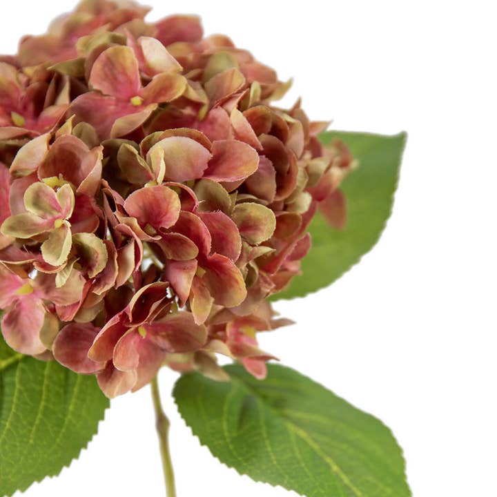 Eleganza Floral - Wholesale Artificial Flowers - Small Head Hydrangea Two Tone Green/Pink1