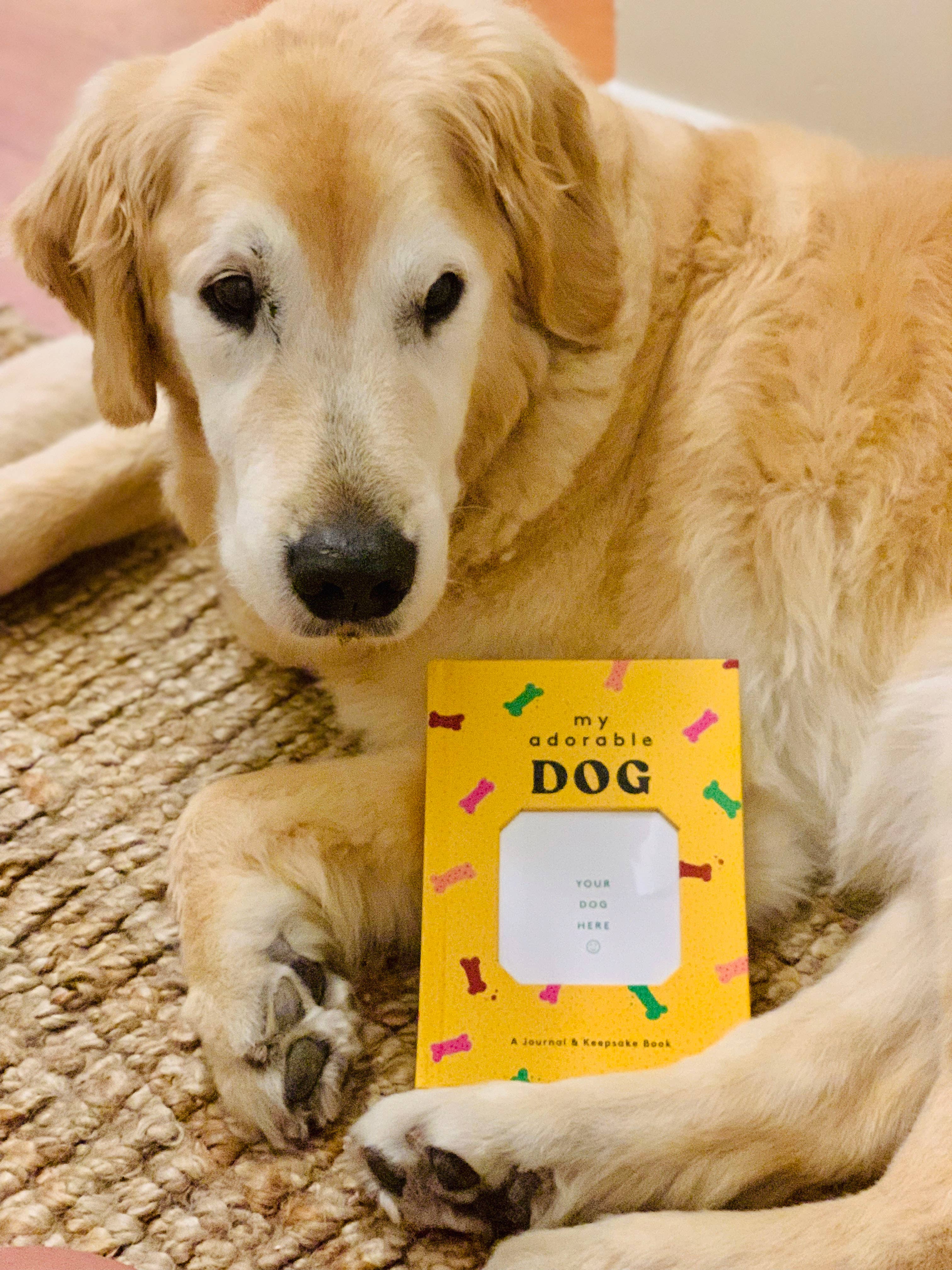 Chronicle Books - Wholesale Journal/Diary - My Adorable Dog3