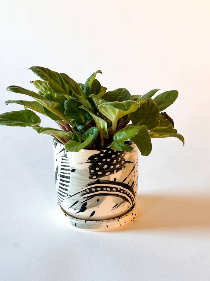 Splash Planters W/ Drip Plates - Granite for wholesale by SampleHAUS