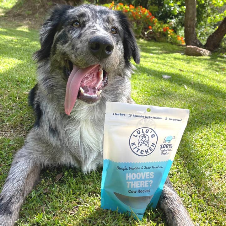 Rover Pet Products - Wholesale Pet Treats - Dog - Hooves There? - Cow Hooves1