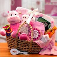 Our Precious Baby Carrier - Pink for wholesale by Gift Basket Drop Shipping