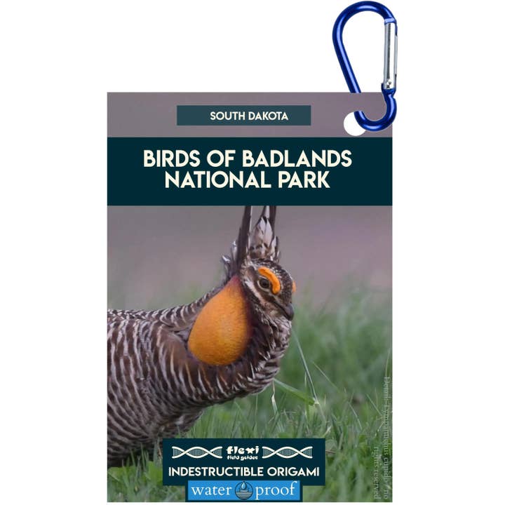 Vögel des Badlands-Nationalparks-Unzerstörbares Origami für den Großhandel von Flexi Field Guides
