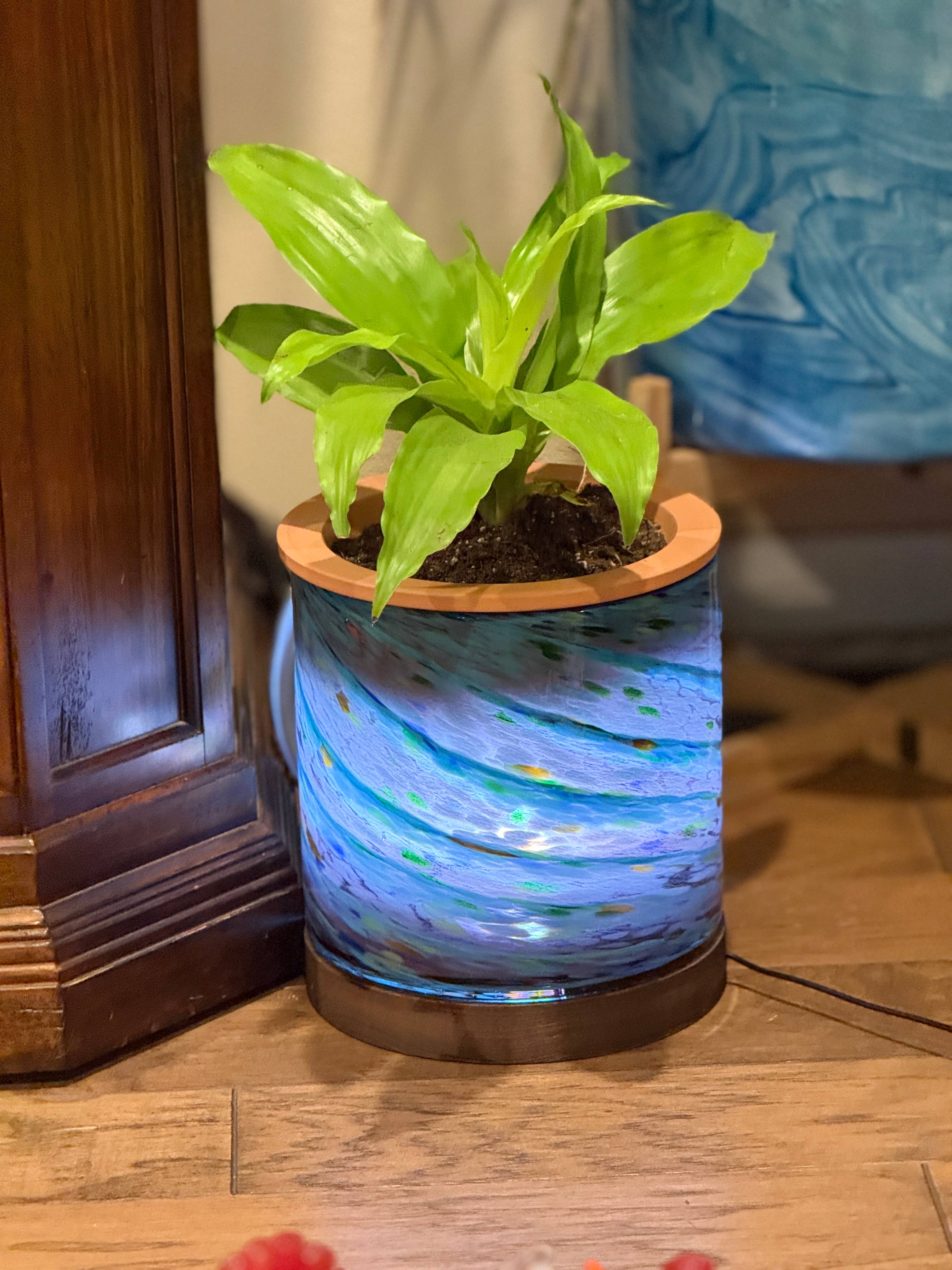 ApricotMint - Wholesale Plant Pot - 8" Art Glass LED Self Watering Planter (USB Plug-in)20