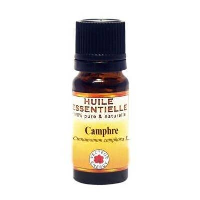 Camphor Wood Essential Oil 10ml for wholesale by Vecteur Energy