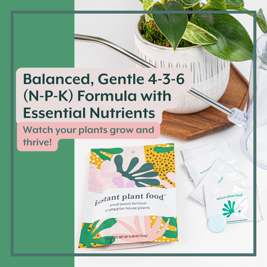 Instant Plant Food - Wholesale Fertilizer - Best Houseplant Fertilizer - Instant Plant Food Tablets4