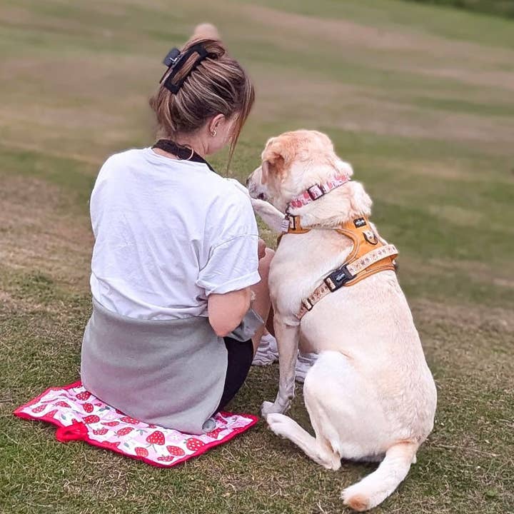 Tappetino da Escursionismo alla Fragola Berry Good per la vendita all'ingrosso da parte di Syd&Co