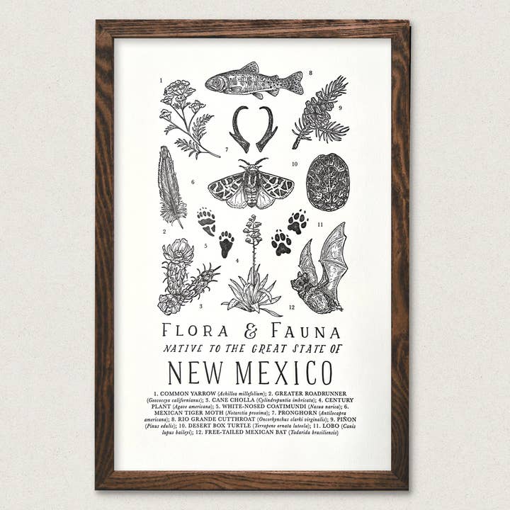New Mexico Field Guide for wholesale by The Wild Wander