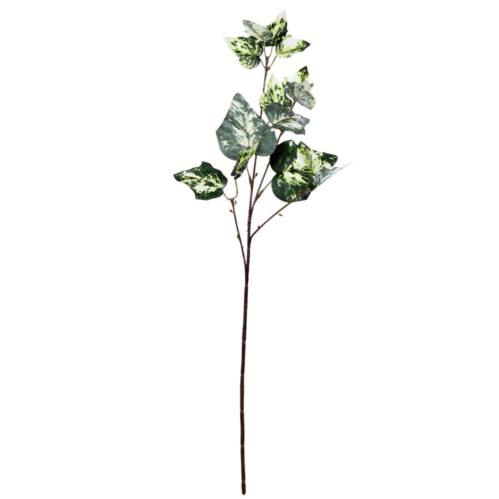 Vickerman 24" Green Variegated Ivy Spray 6 Pack for wholesale on Faire0
