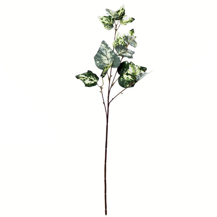 Vickerman 24" Green Variegated Ivy Spray 6 Pack for wholesale on Faire