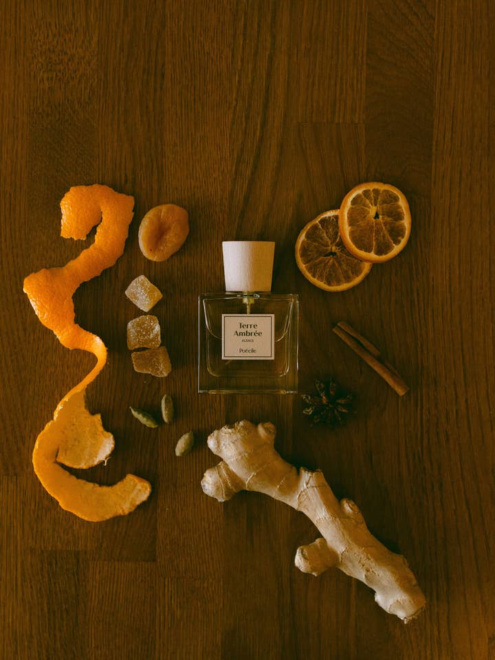 Eau de parfum - Terre Ambrée - Alsace for wholesale by Poécile