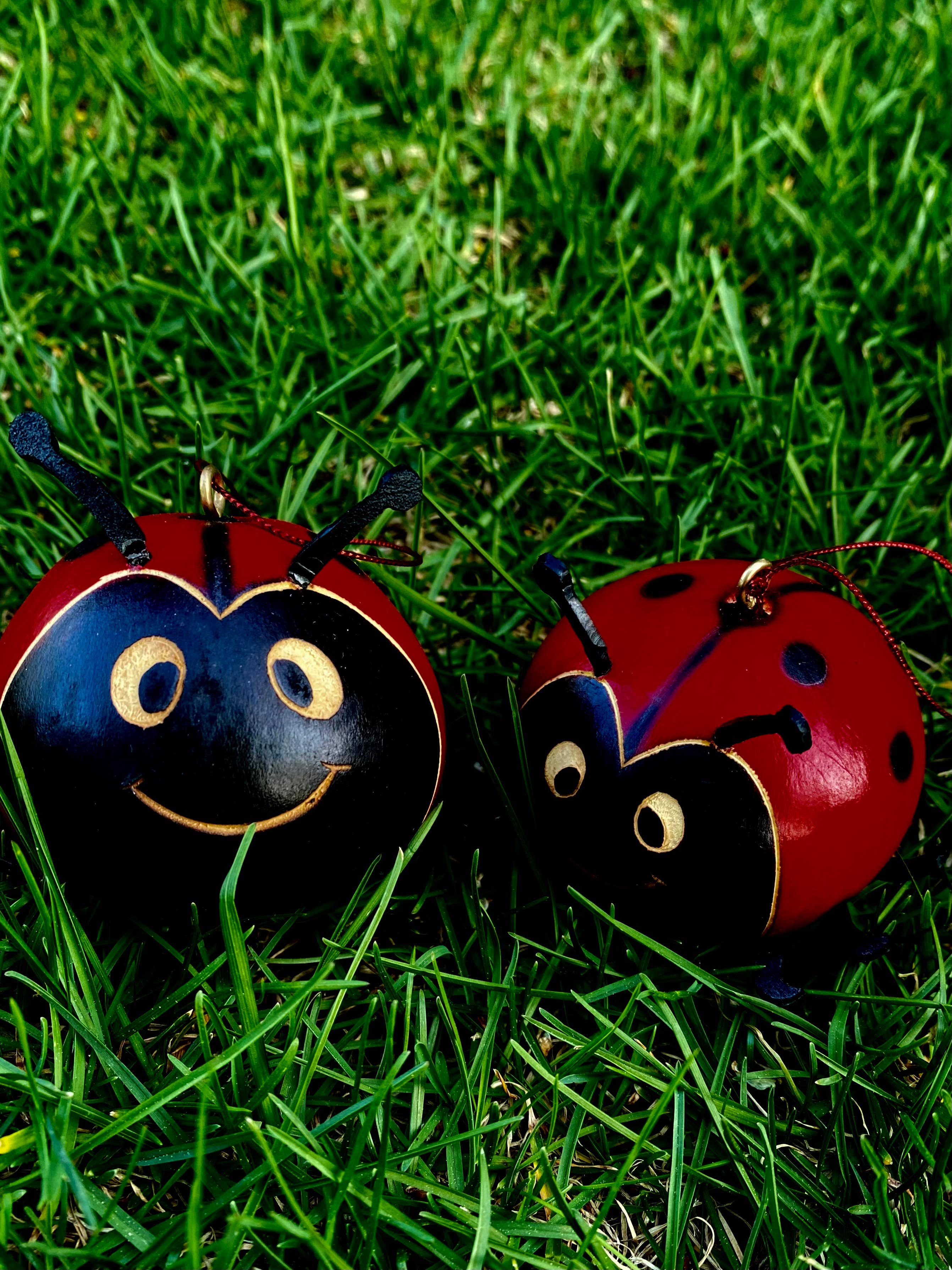 Blossom Inspirations – Großhandel Verzierung – Marienkäfer-Kürbis2