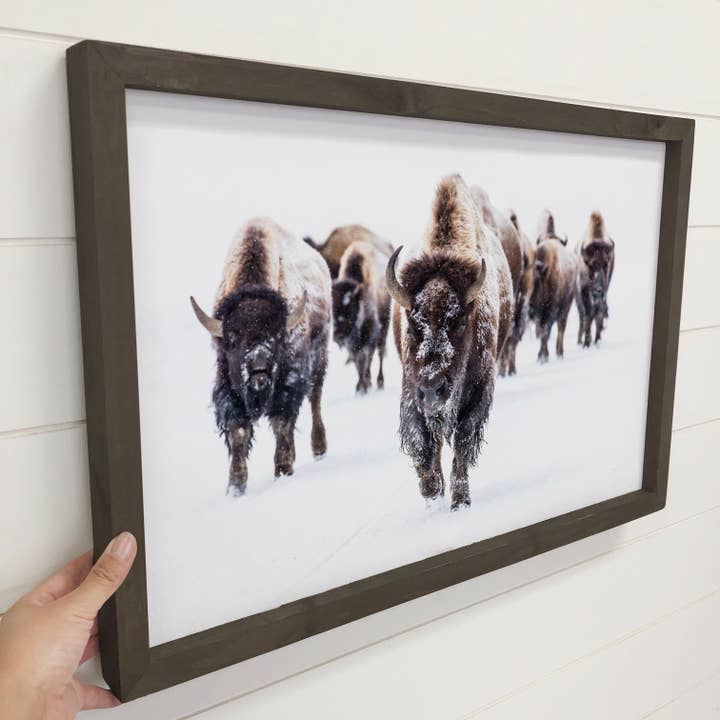 Hangout Home – Fotografia por atacado – Fotografia Madeira Wildlife Enquadrada - Bison Group - Cabin Decor1