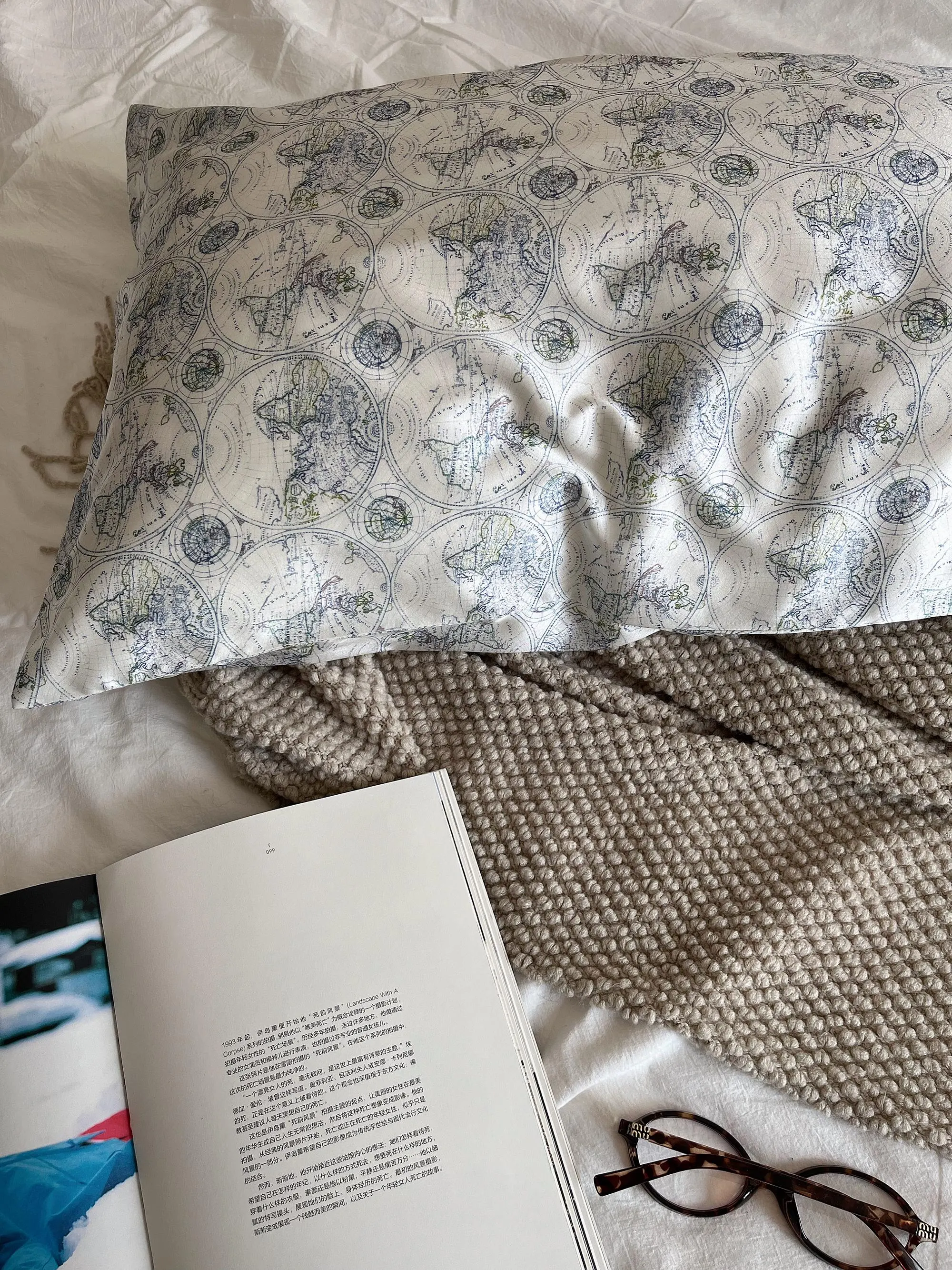 Lian Collection – wholesale Bedding pillowcase/sham – World Map Silk Pillowcase – 22 Momme Mulberry Silk 6