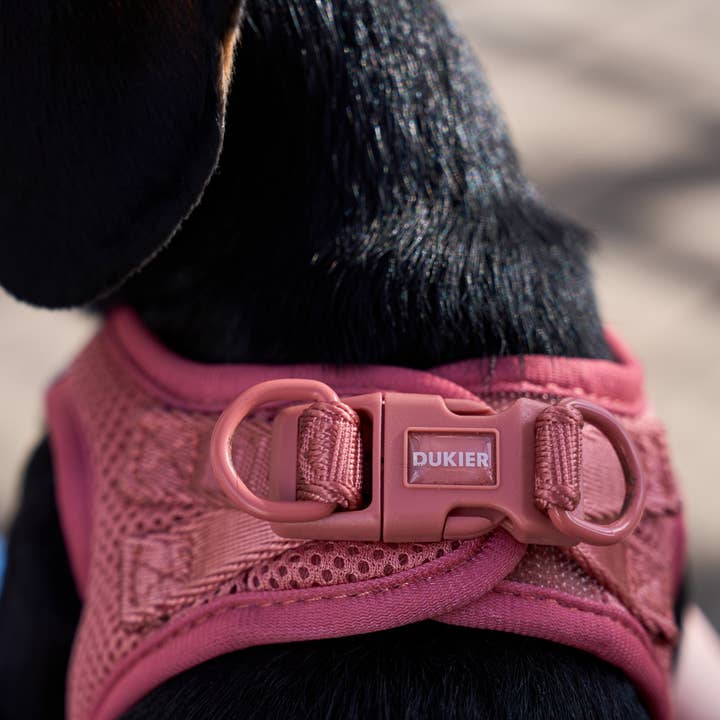 Dukier - Wholesale Pet Harness - Dog - TERRACOTTA DOG BODY HARNESS5