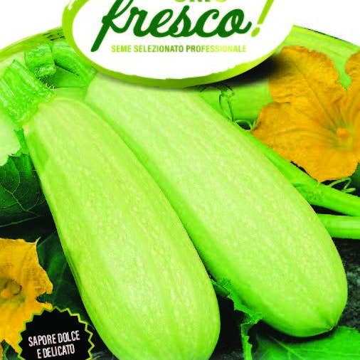 Sementi & Barbatelle - Wholesale Plant Seeds - Top Kapi Zucchini