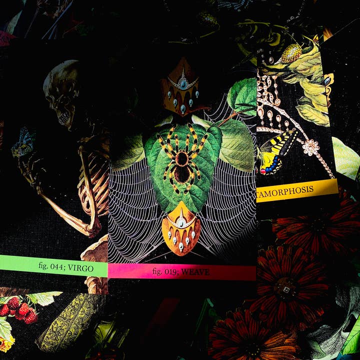 Cosmic Butcher - Wholesale Tarot Cards - "Eternal Gardens" Oracle & Lenormand Deck | Botanical Tarot17