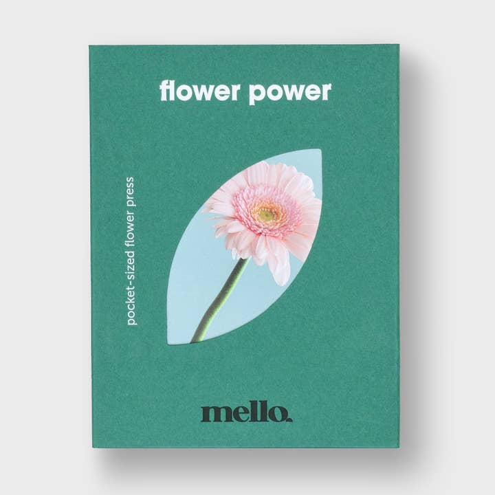 Potere dei fiori per la vendita all'ingrosso da parte di Luckies of London