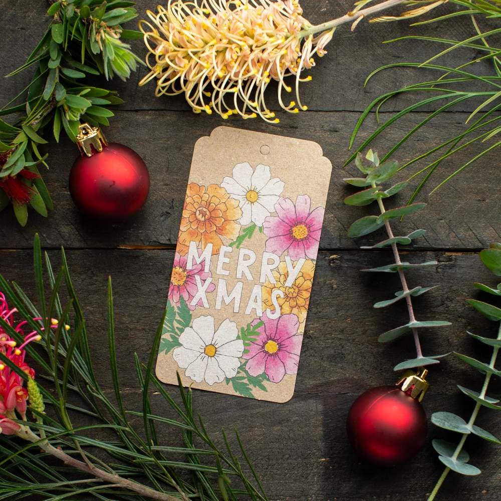 Sow 'n Sow - Venta al por mayor Semillas de plantas - Paquete de reabastecimiento de semillas y etiquetas navideñas (solo en Australia)10