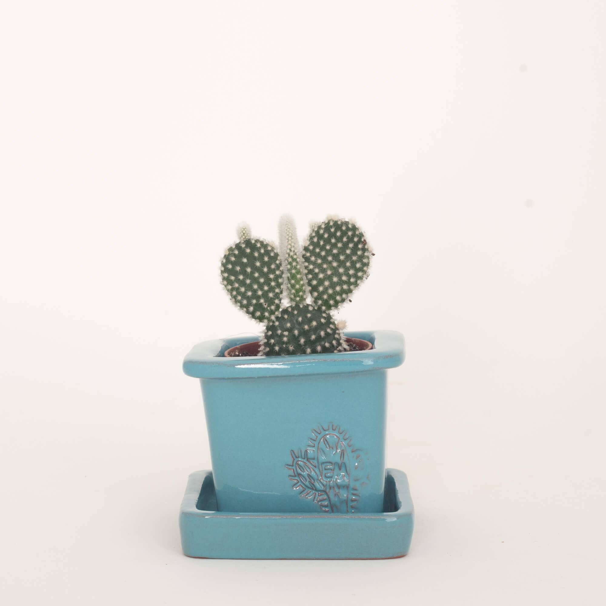 Vasos Quadrados by EM – Vaso de plantas por atacado – VASO QUADRADO MINI 6x6 - BRILHO4