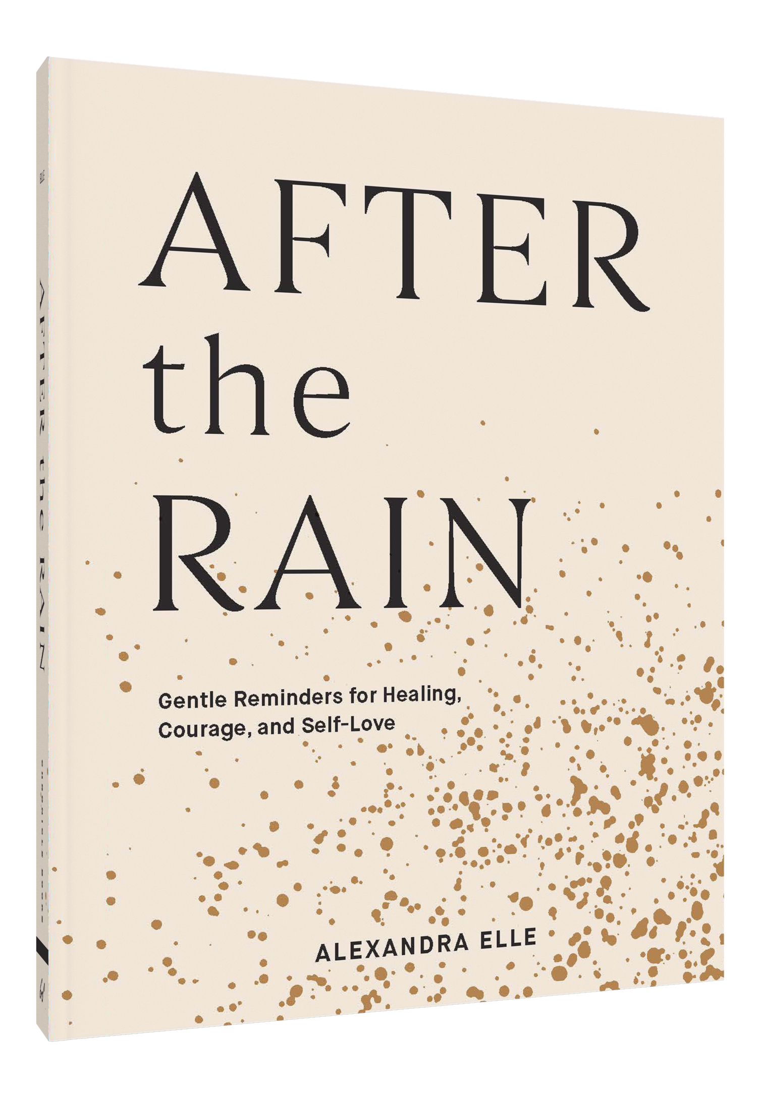 Chronicle Books - Wholesale Self-Help & Personal Development - After the Rain1