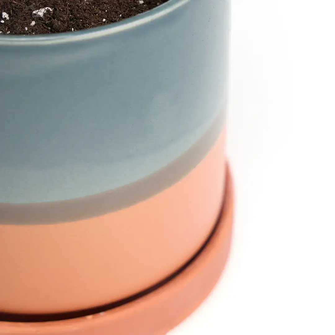 Minute Ceramic Planter Indoors  5 Inch Clay Terracotta Pot for wholesale on Faire3