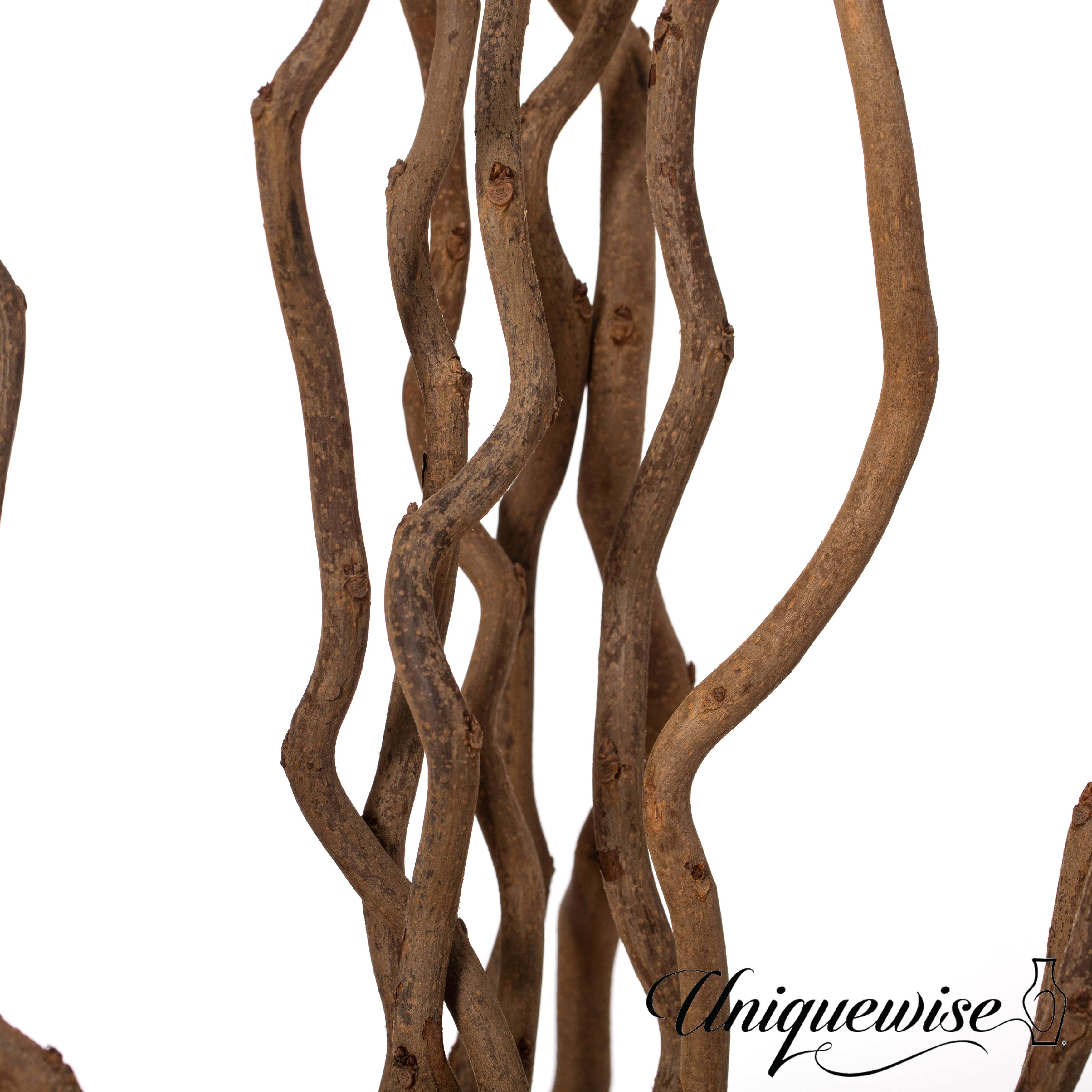 Quickway Imports - Vente Fleur séchée/pressée - Bâtonnets authentiques décoratifs naturels à branches sèches7