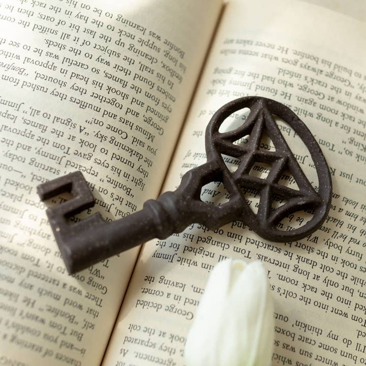 Florence Cast Iron Key Decorative Accent for wholesale by Foreside Home & Garden