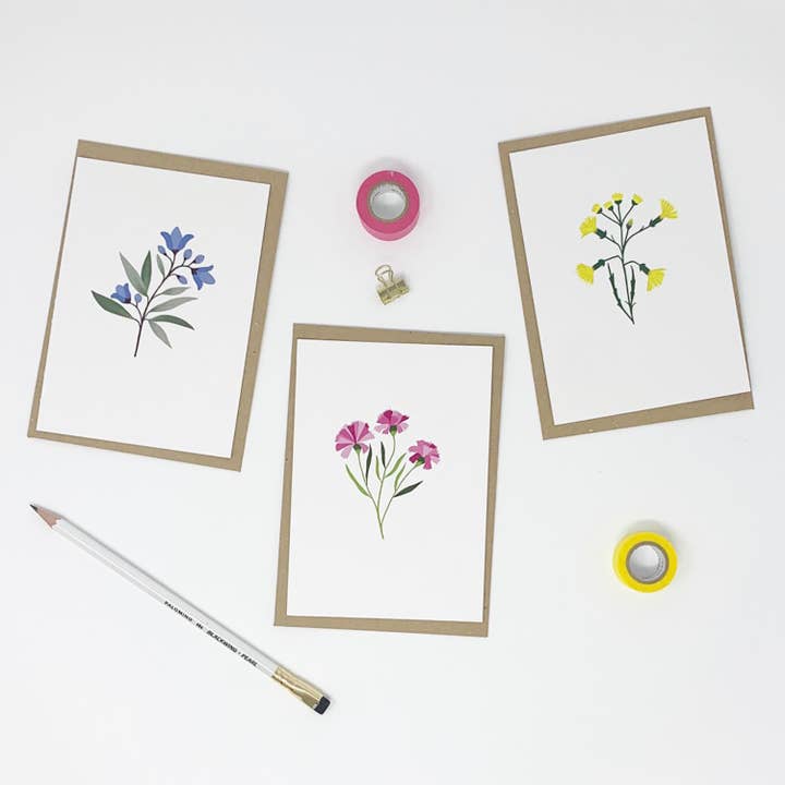 Pack of 6 Illustrated Flower Cards for wholesale by Lomond Paper Co