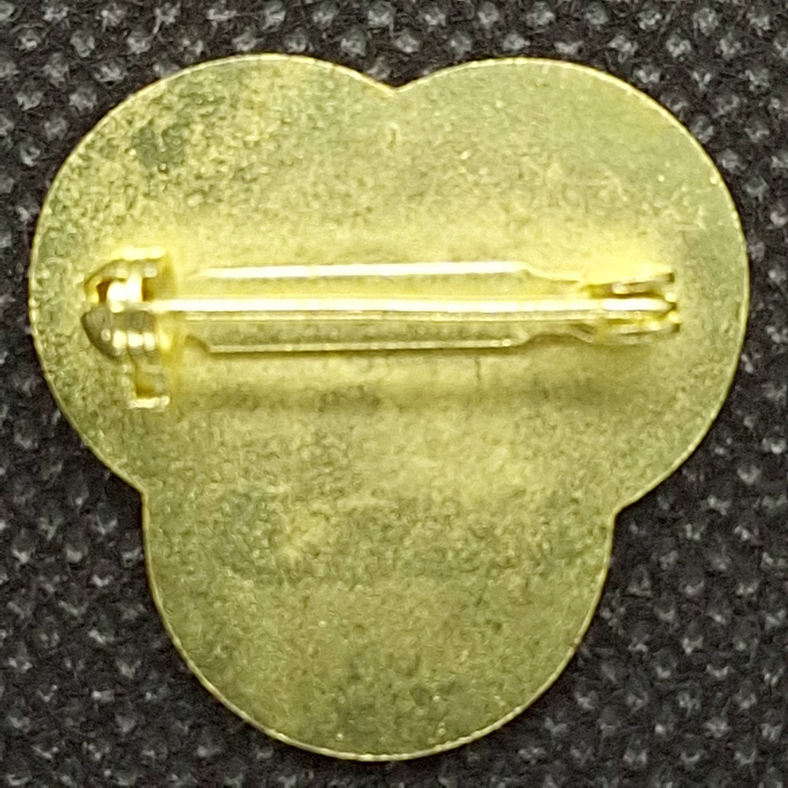 Fantastic Souvenirs, Gifts & Collectibles - Wholesale Lapel Pin/Button - Pin - Vintage Crested Butte 3-rings1