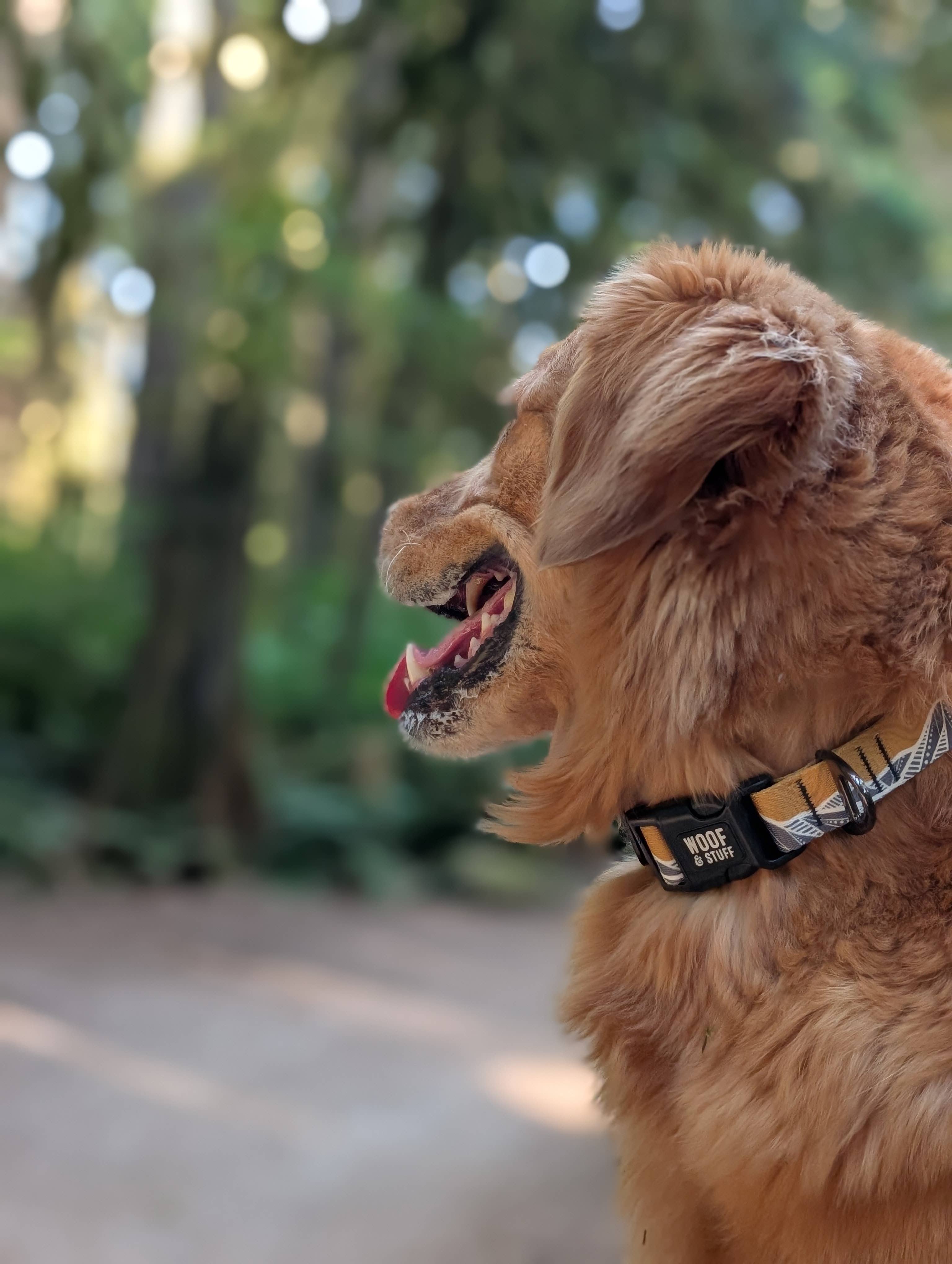 Woof & Stuff - Wholesale Pet Collar - Dog - Mountain Mornings Collar2