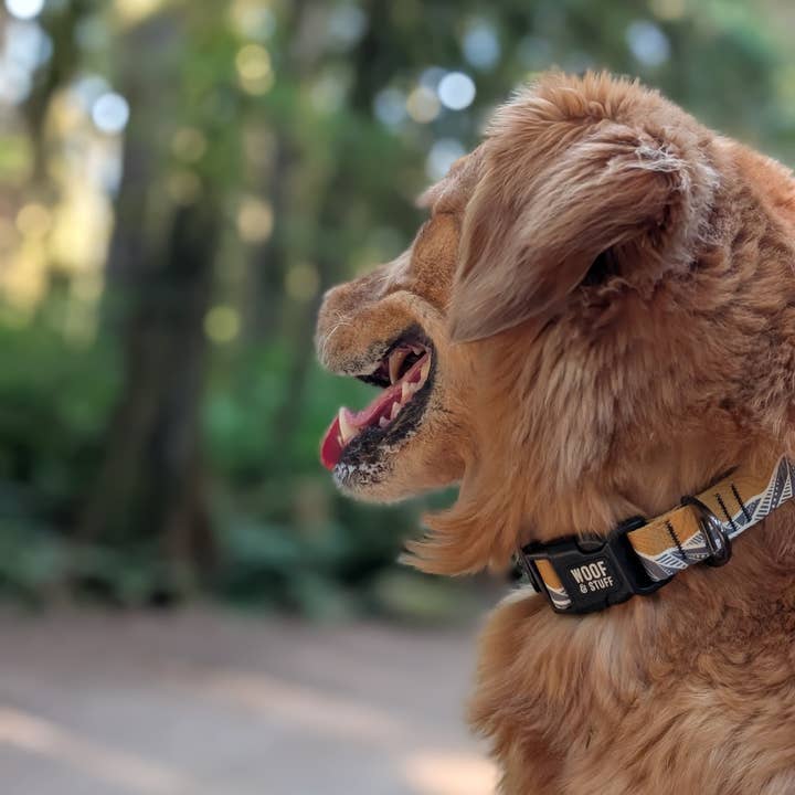 Woof & Stuff - Wholesale Pet collar – Dog - Mountain Mornings Collar2