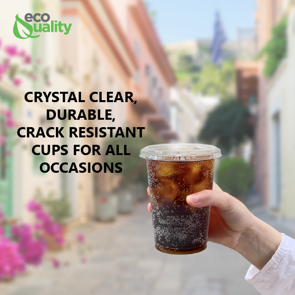 EcoQuality - Wholesale Disposable Cup - 16oz Disposable Pet Clear Plastic Smoothie Cups Clear Flat7