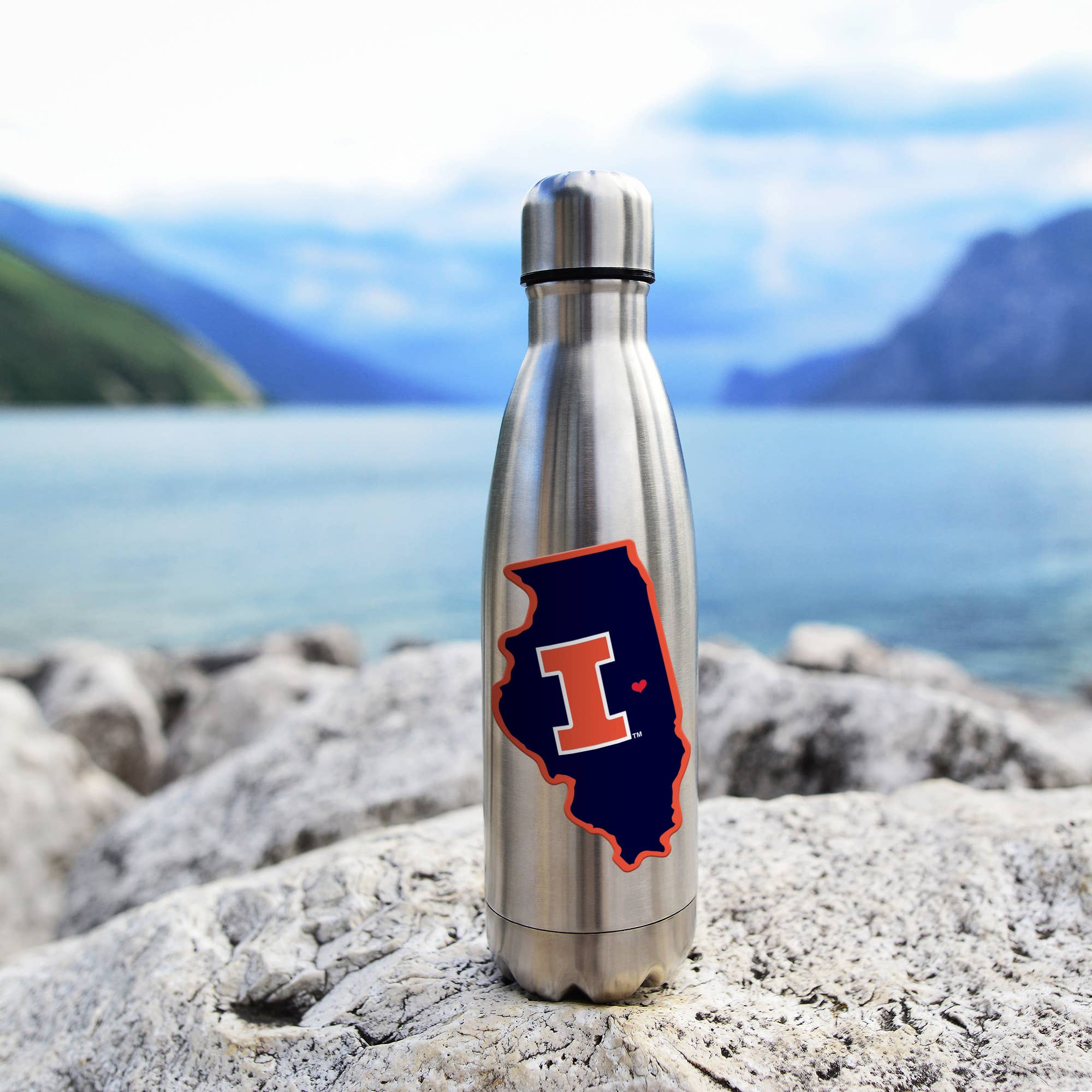 Rico Industries - Wholesale Sticker - NCAA  South Carolina Gamecocks  Home State Sticker3