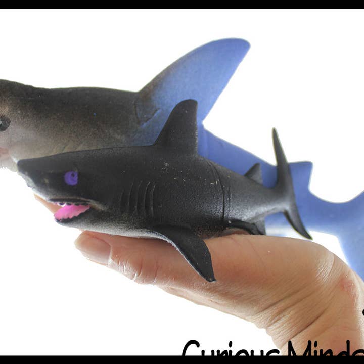 1 Jumbo Grow a Shark in Water - Add Water and it Grows up t and other Purchase Wholesale grow shark. Free Returns & Net 60 Terms on Faire trending on Faire.
