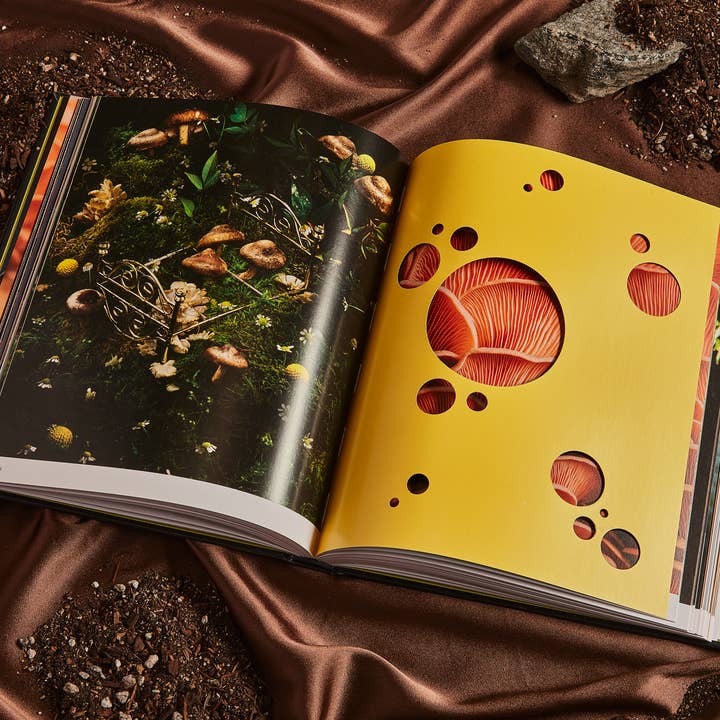 Broccoli – Livro de natureza e atividades ao ar livre por atacado – Spores: Livro de fotografia mágica de cogumelos7