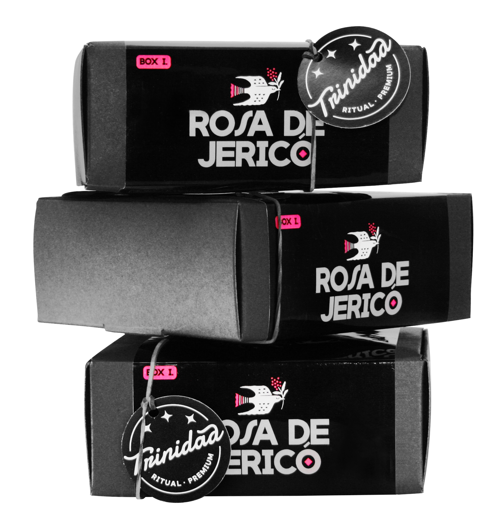 trinidad - Wholesale Live Plant - Box1 Rosa Jerico 1 unit4
