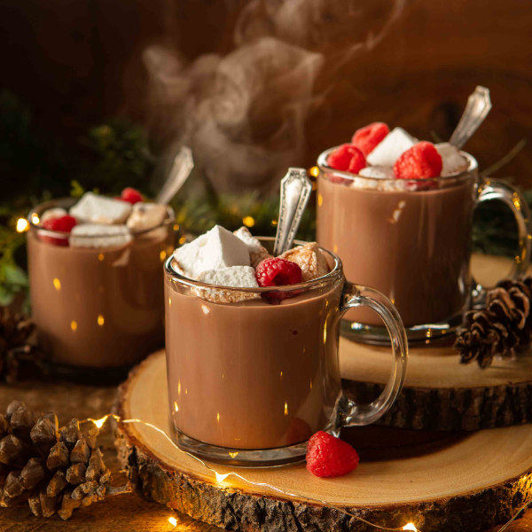 Wind & Willow - Wholesale Hot Cocoa Mix/Kit - Hot Cocoa Assortment (cs 24)3