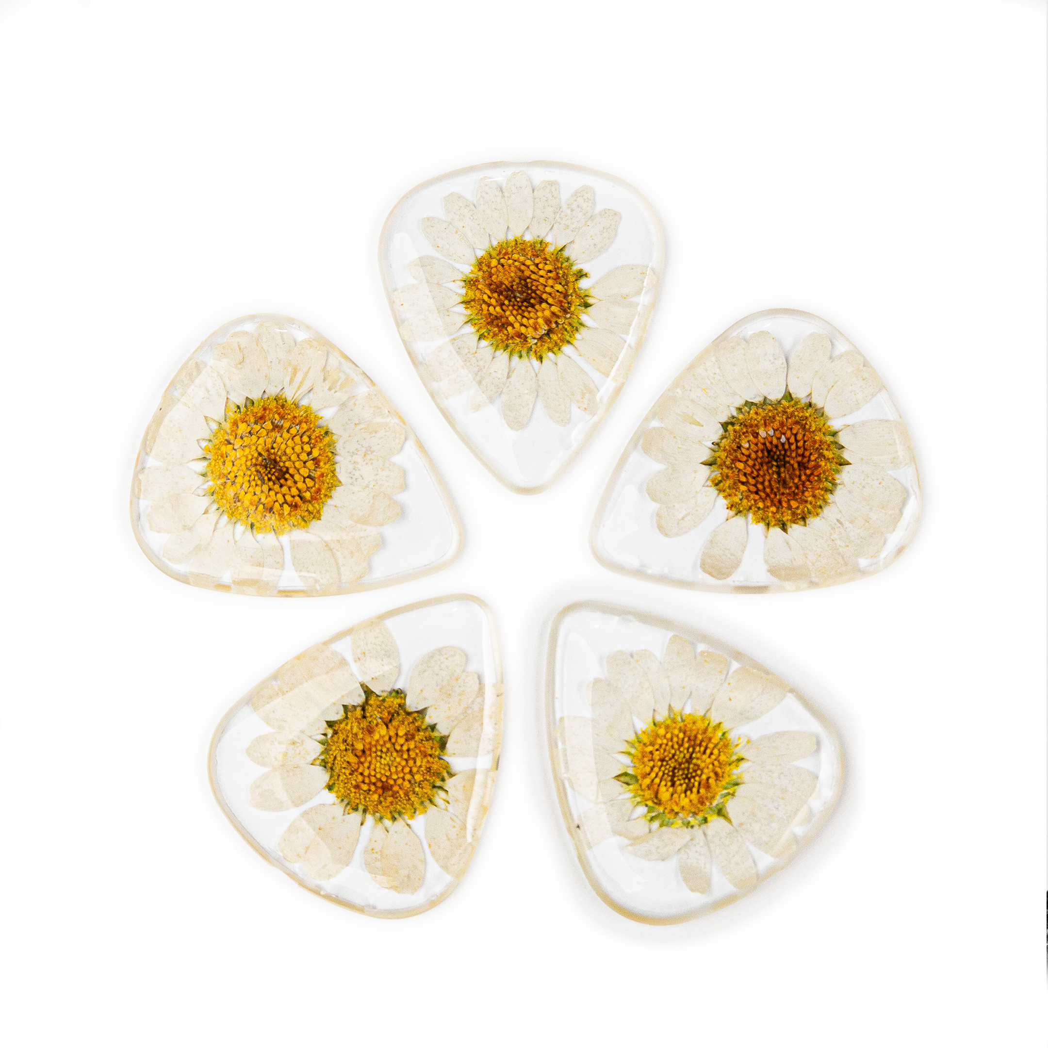 Terra Tone - Wholesale Music Accessory - Flower Guitar Picks - Daisy | Novelty Gift for Music Lover4