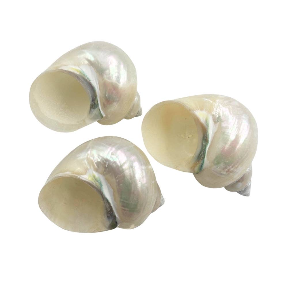 Earths Elements Wholesale - Vente Pierre et cristal de spiritualité - Turban en jade nacré2